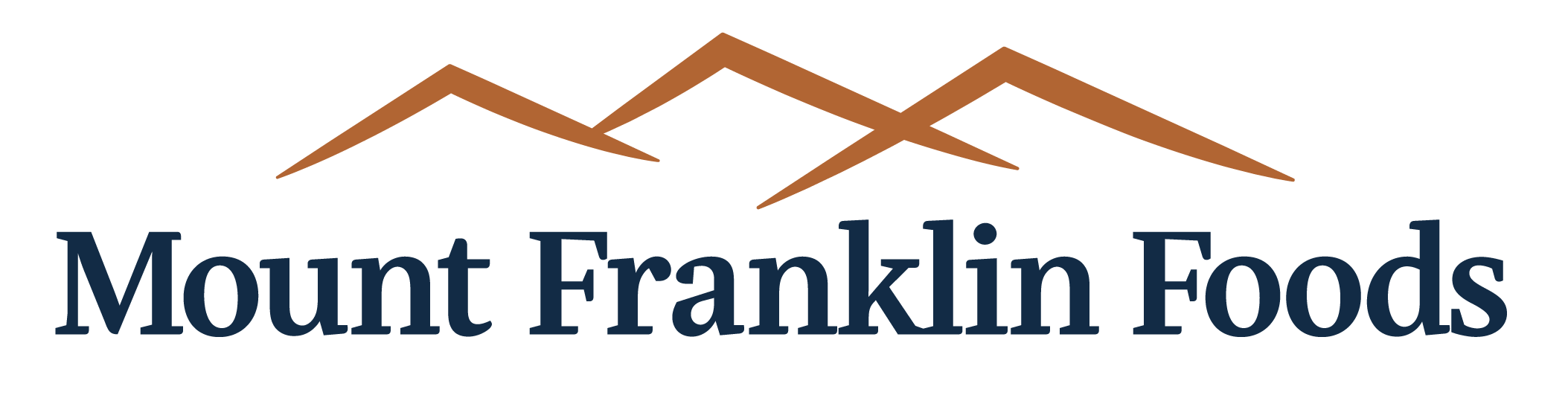 MFF Logo